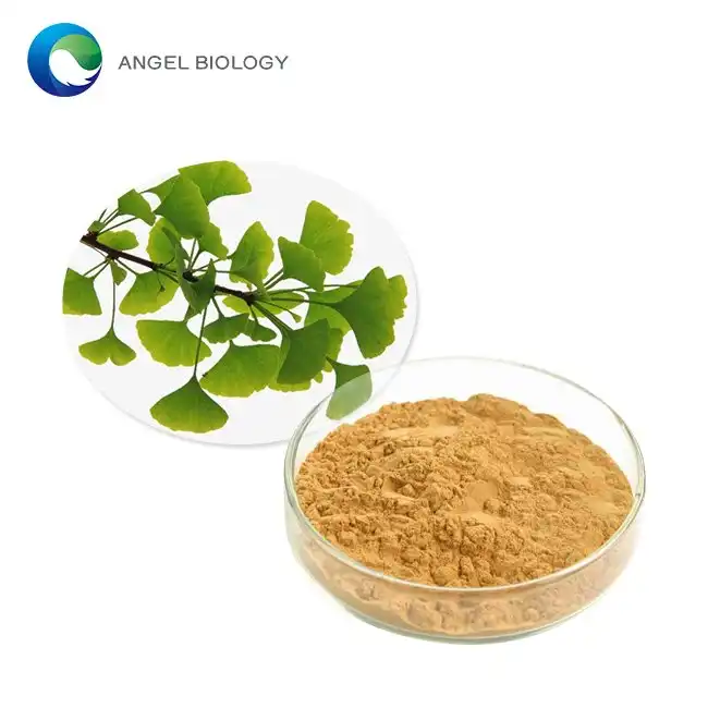 Exploring the Scientific Research Behind Ginkgo Biloba Leaf Powder
